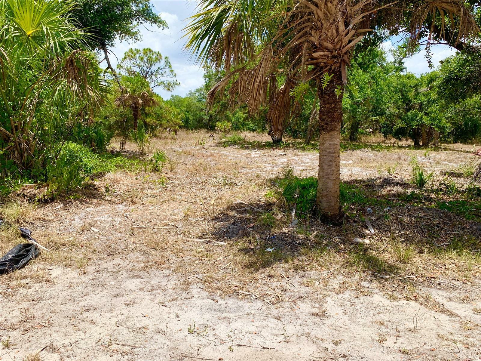 Property Photo: 481 Admiral Street FL 33954