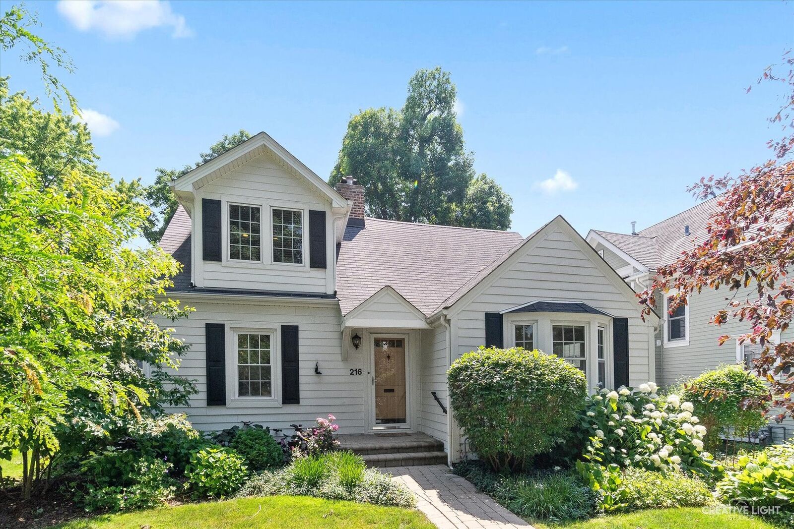 Property Photo:  216 N Sleight Street  IL 60540 