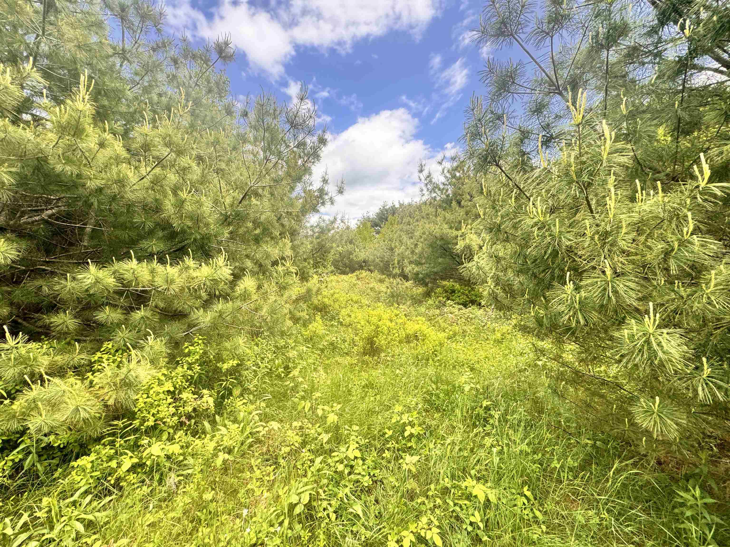 Property Photo:  Lot 3 Wildflower Way  NH 03774 