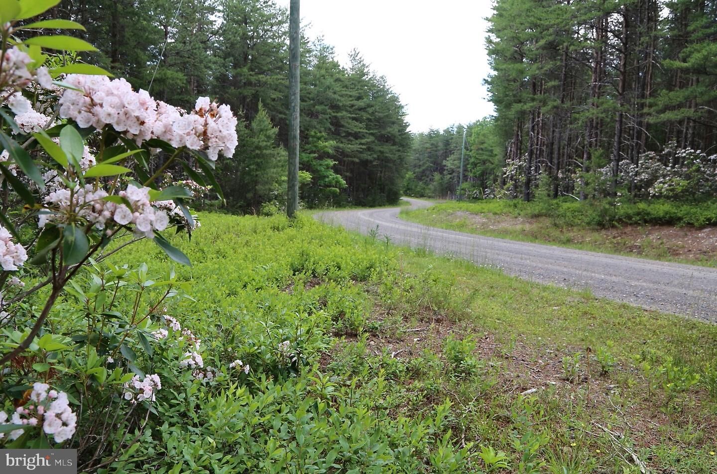 Property Photo:  80 Doe Garden Drive  WV 26865 