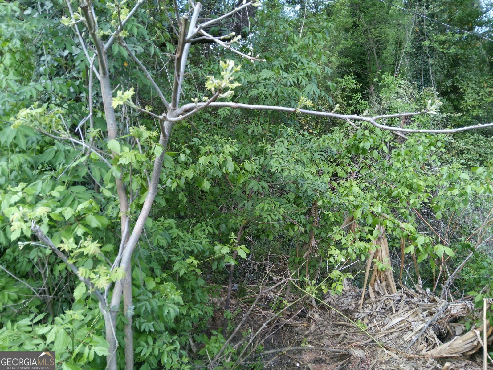 Property Photo: 2675 Sandtown Road GA 30060