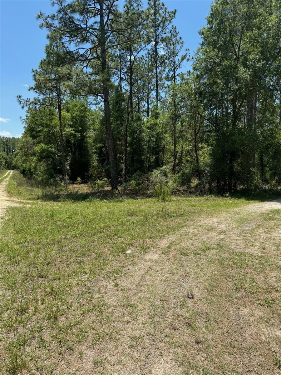 Property Photo: