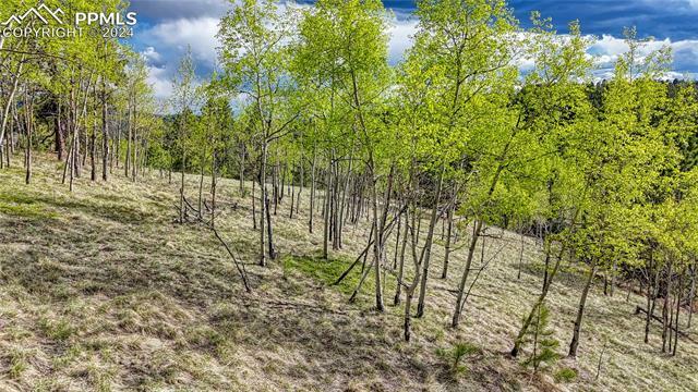 Property Photo: 649 Pinon Lane CO 80816