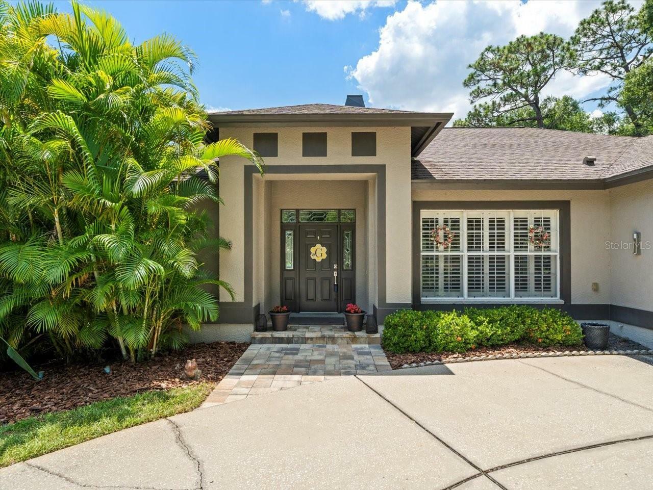 Property Photo:  16816 Windsor Park Drive  FL 33549 