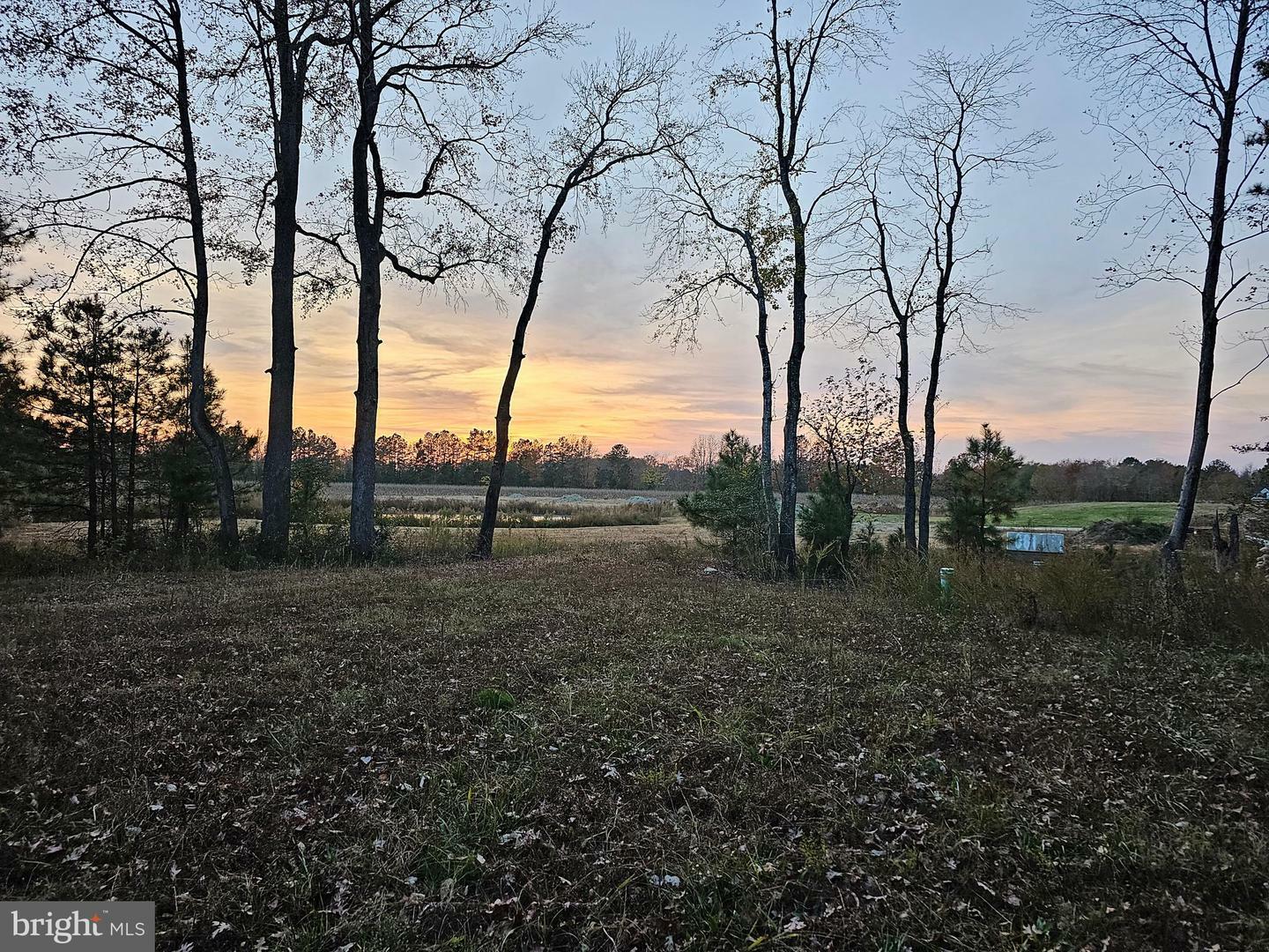 Property Photo:  Lot 4 Heron Ponds Parkway  MD 21875 