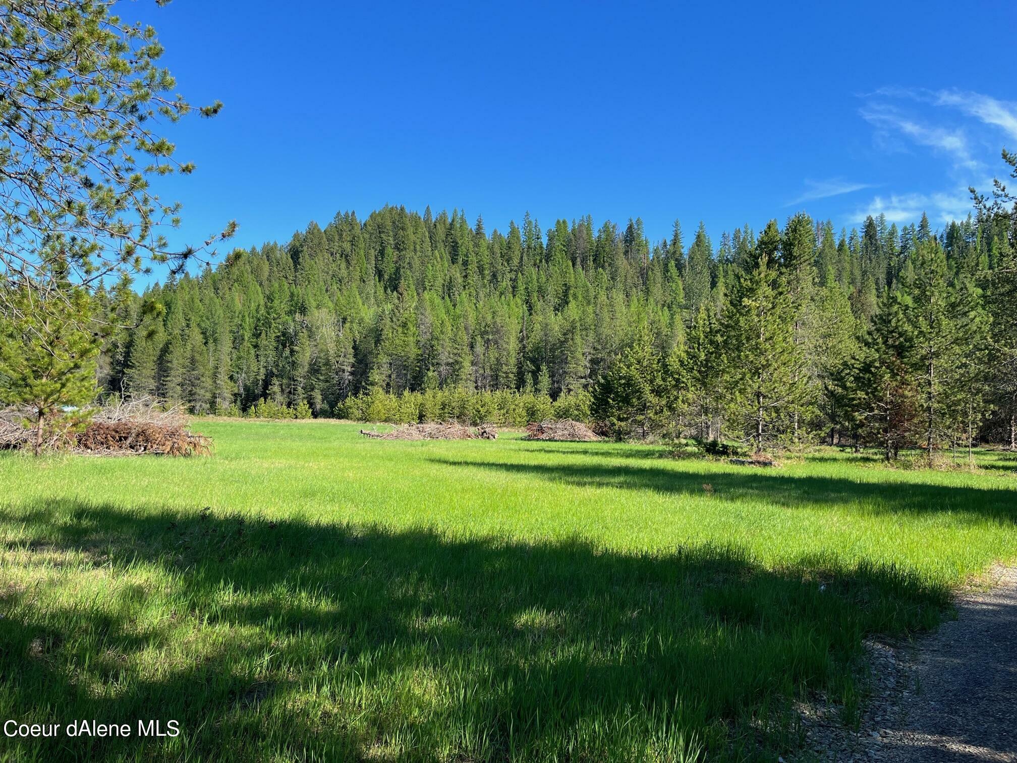 Property Photo:  Nna Dubius Creek Rd.  ID 83856 