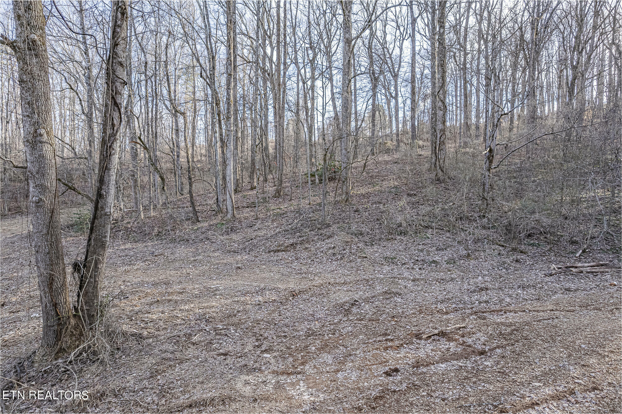 Property Photo: 646 Hassler Mill Rd TN 37748