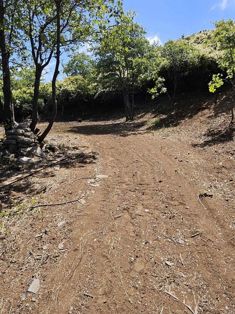 Property Photo: 5212 Acorn Patch Road CA 92036