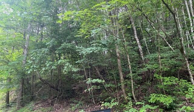 Property Photo:  Lot 20 N Clear Fork Road  TN 37876 