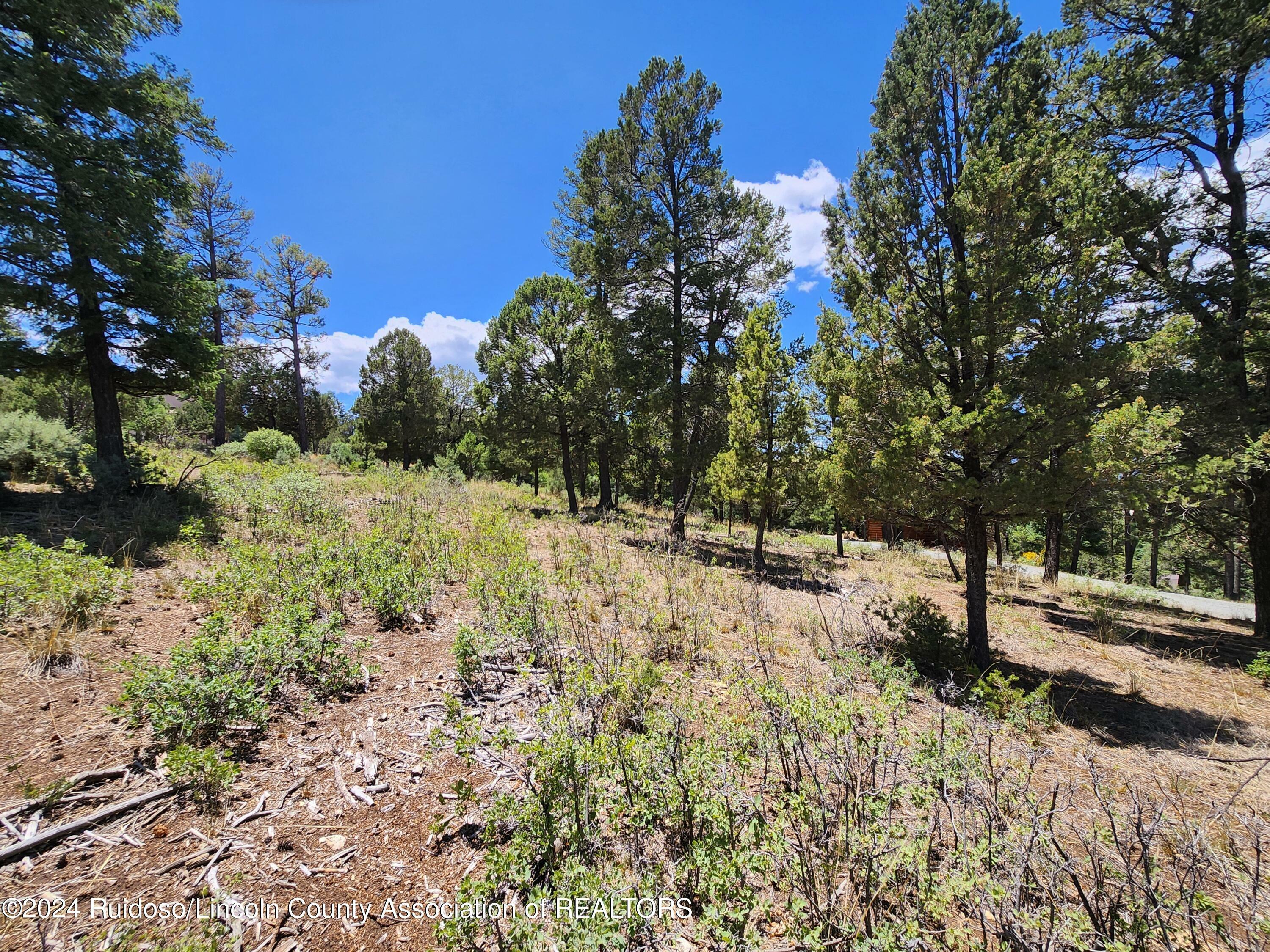 Property Photo:  302 Cummings Drive  NM 88345 