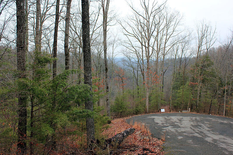 Property Photo: Lot 76 Sandstone Point KY 42633