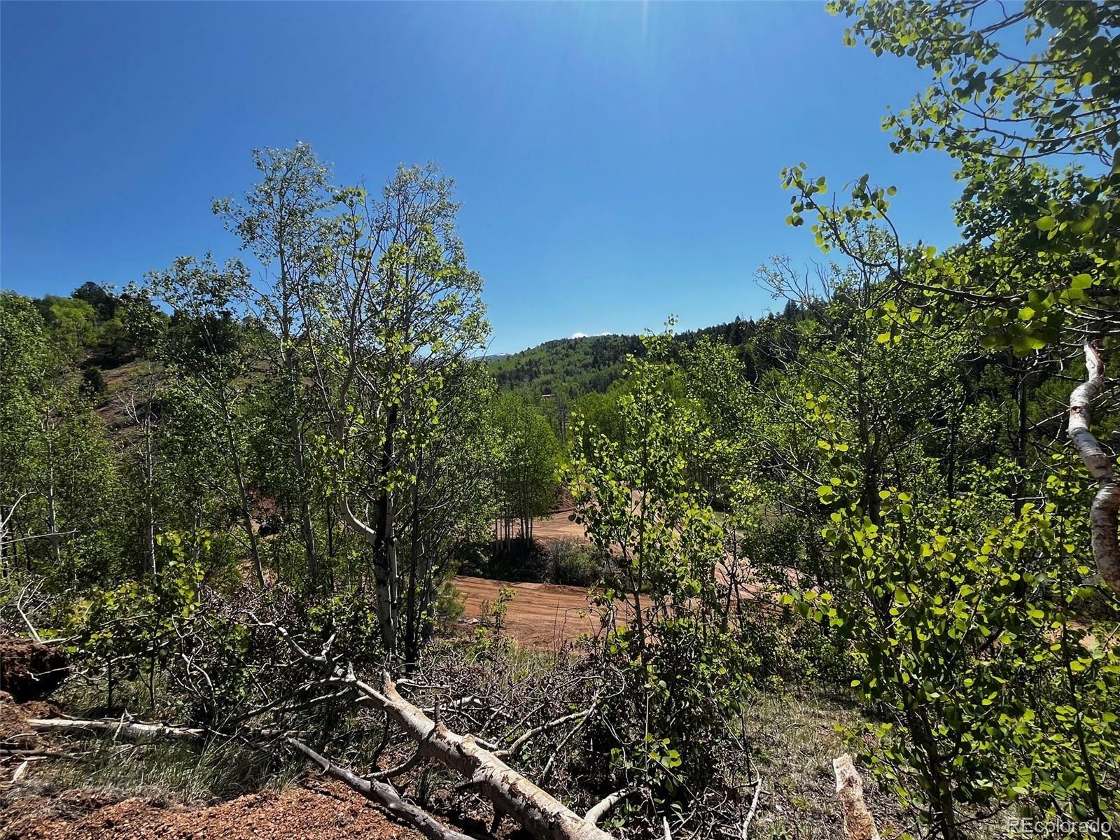 2136 Golden Cycle Circle  Cripple Creek CO 80813 photo