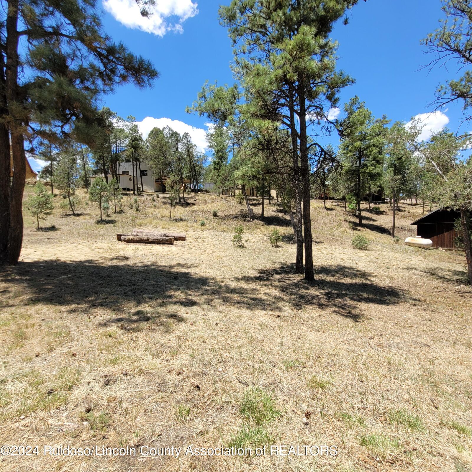 Property Photo: 206 Marble Drive NM 88345