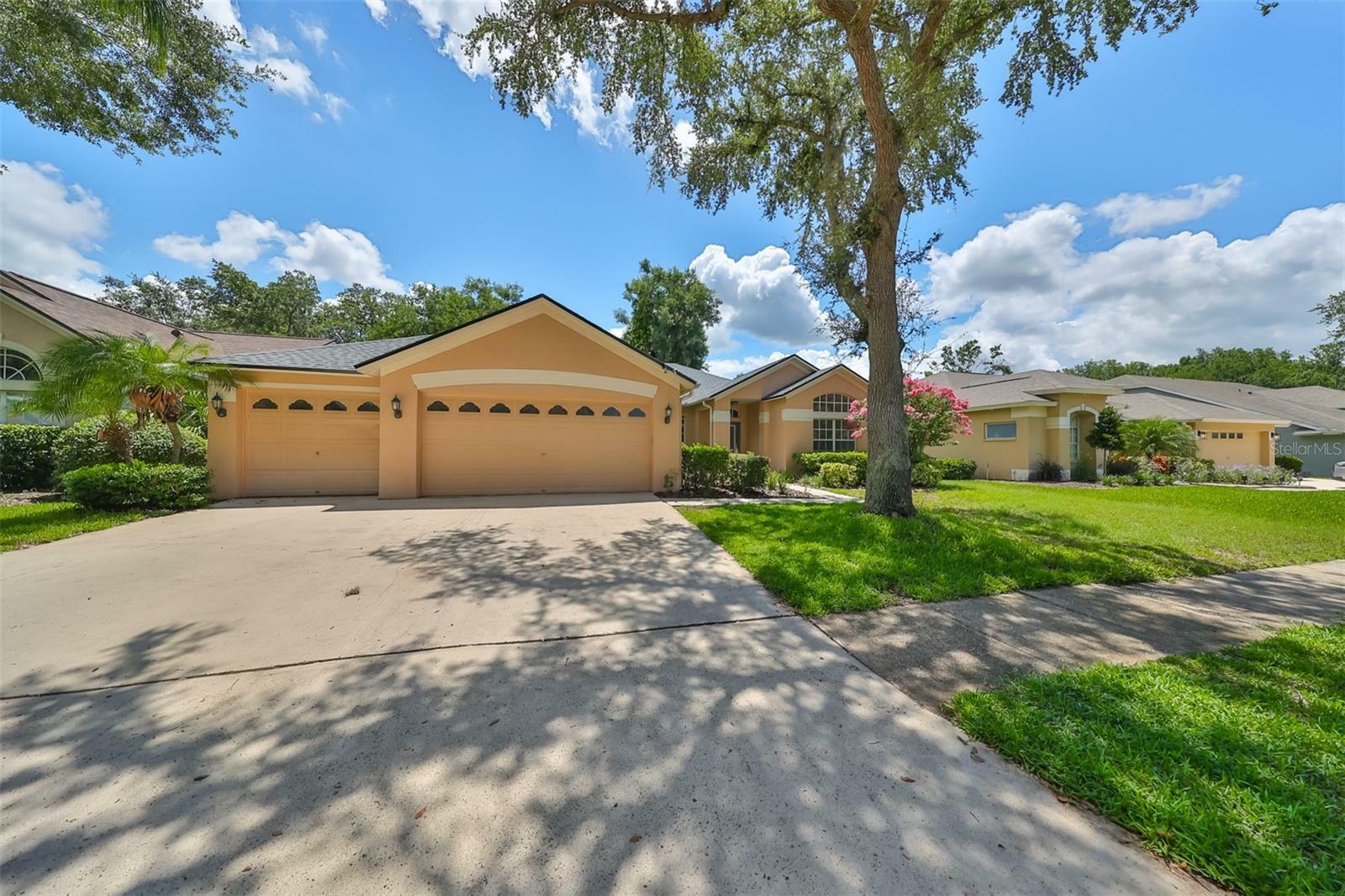 Property Photo:  4404 Winding River Drive  FL 33596 