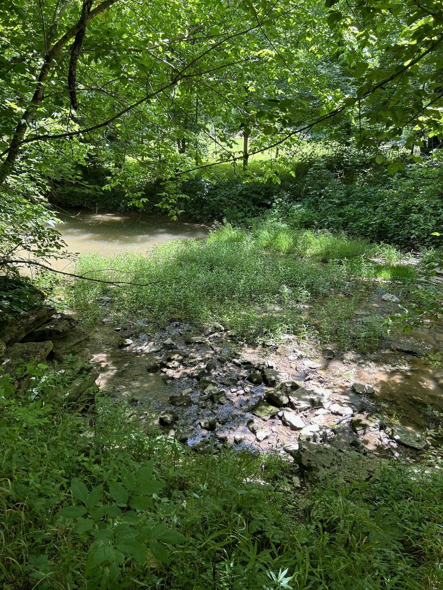 Property Photo:  1165 Turner Road  KY 41097 