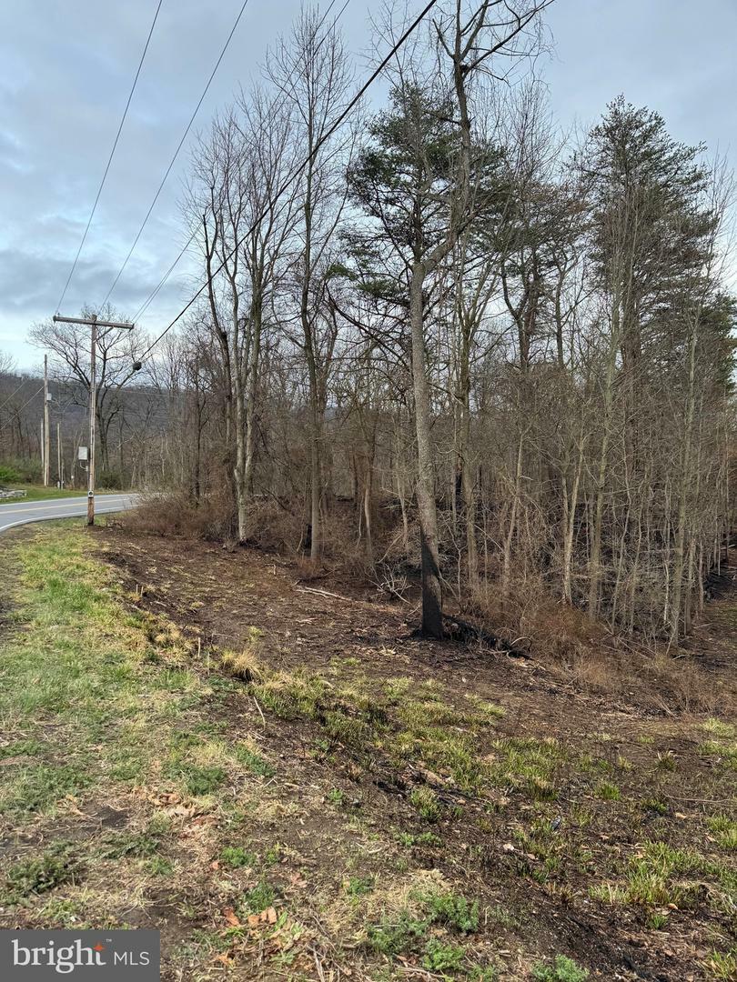 Property Photo:  Lot 2 Buck Hill Road  WV 25420 