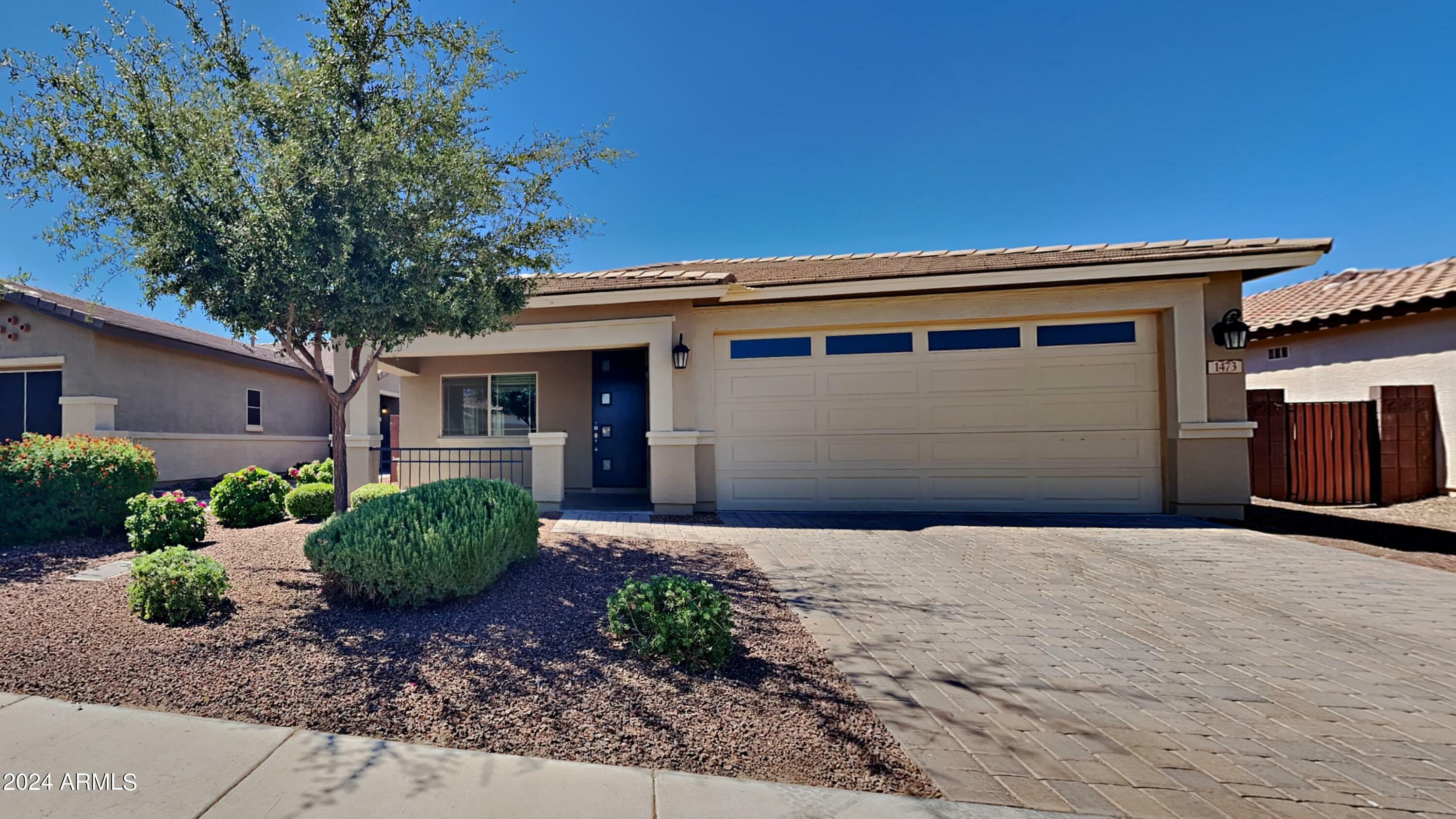 Property Photo:  1473 W Buckeye Tree Avenue  AZ 85140 