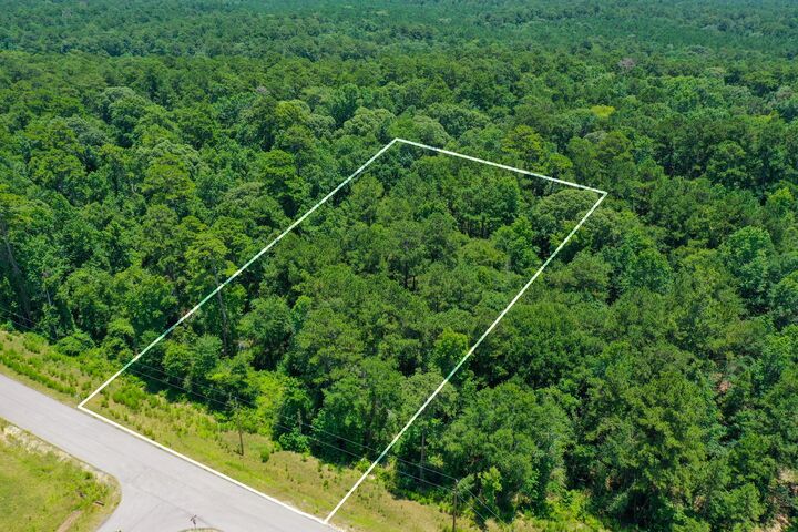 Property Photo:  34-15 Sandstone Lane  TX 77340 