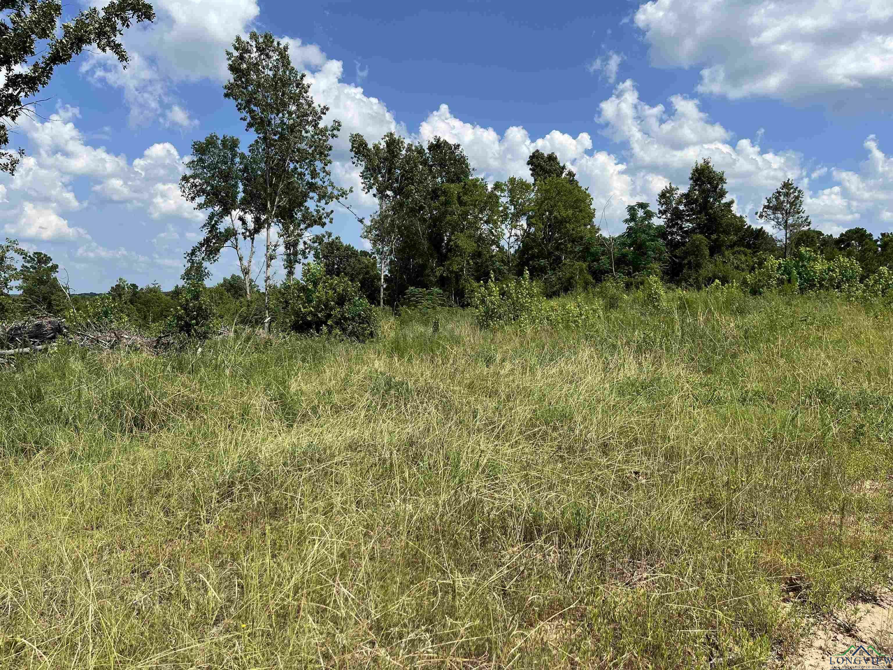 Property Photo:  Tbd 7.14 Ac Cr 343  TX 75652 