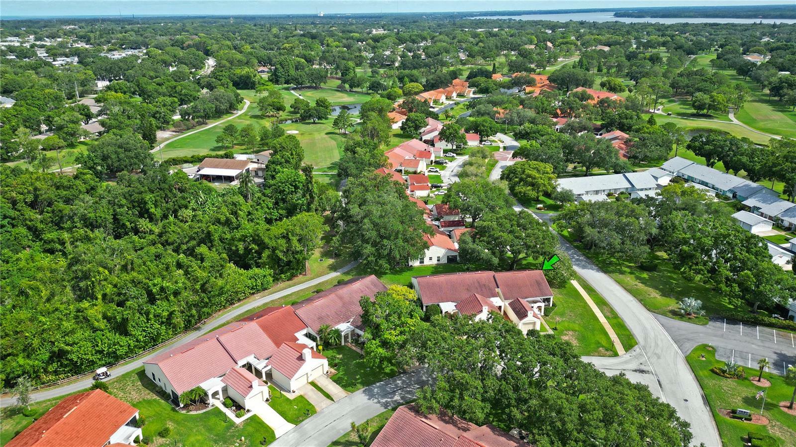 Property Photo: 994 Madrid Drive FL 34684