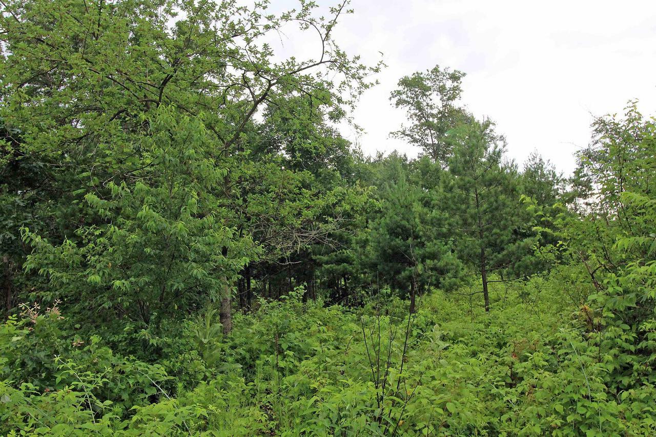 Property Photo:  Lot 8 Spruce  WI 53588 