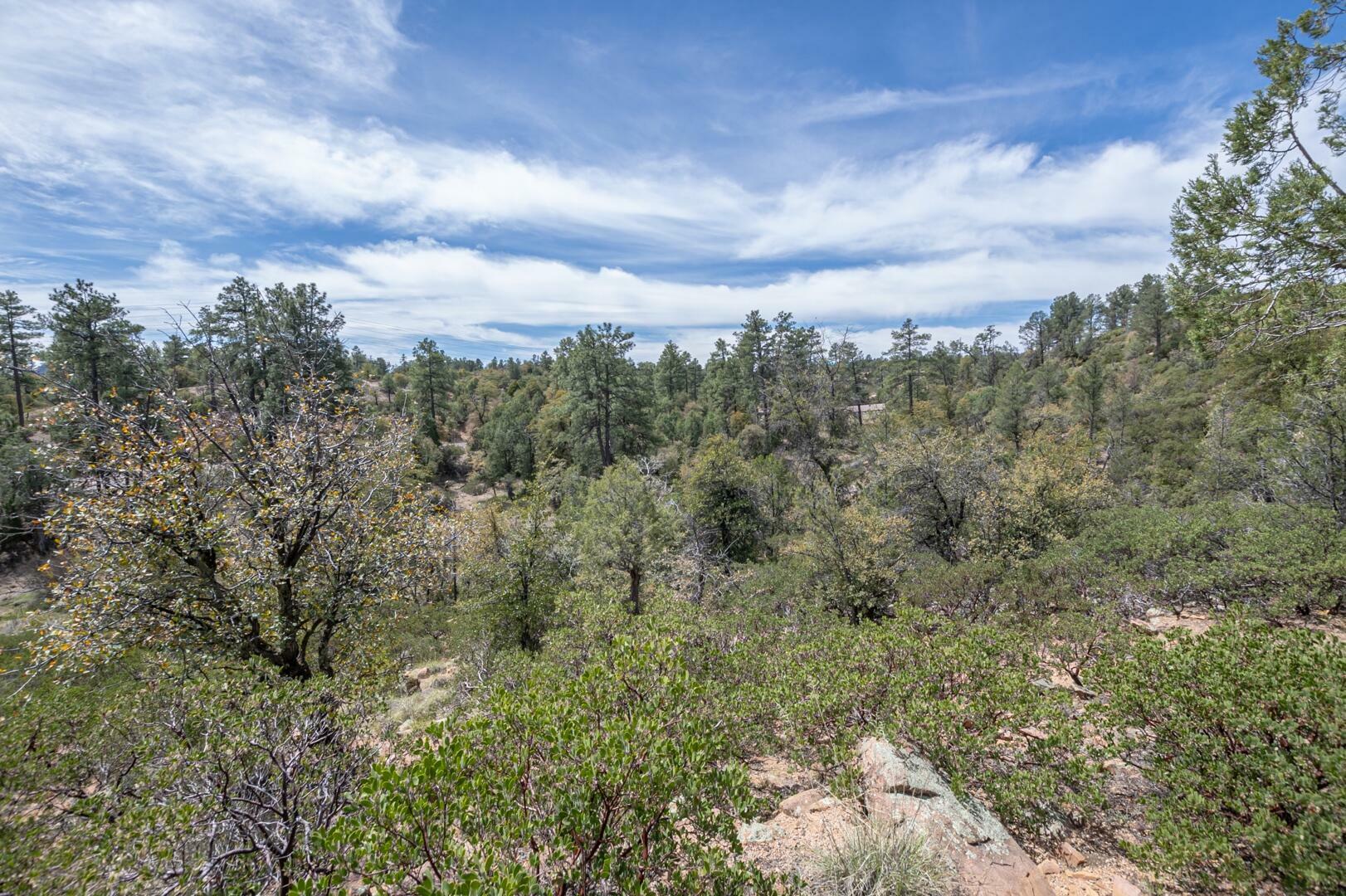 Property Photo:  2501 E Feather Plume Court  AZ 85541 