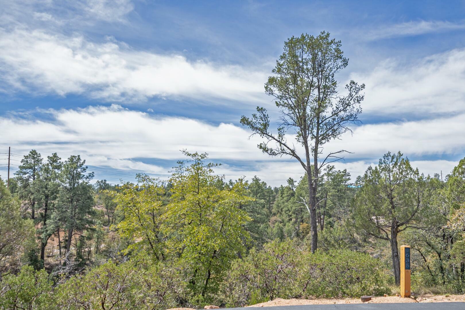 Property Photo:  2501 E Feather Plume Court  AZ 85541 