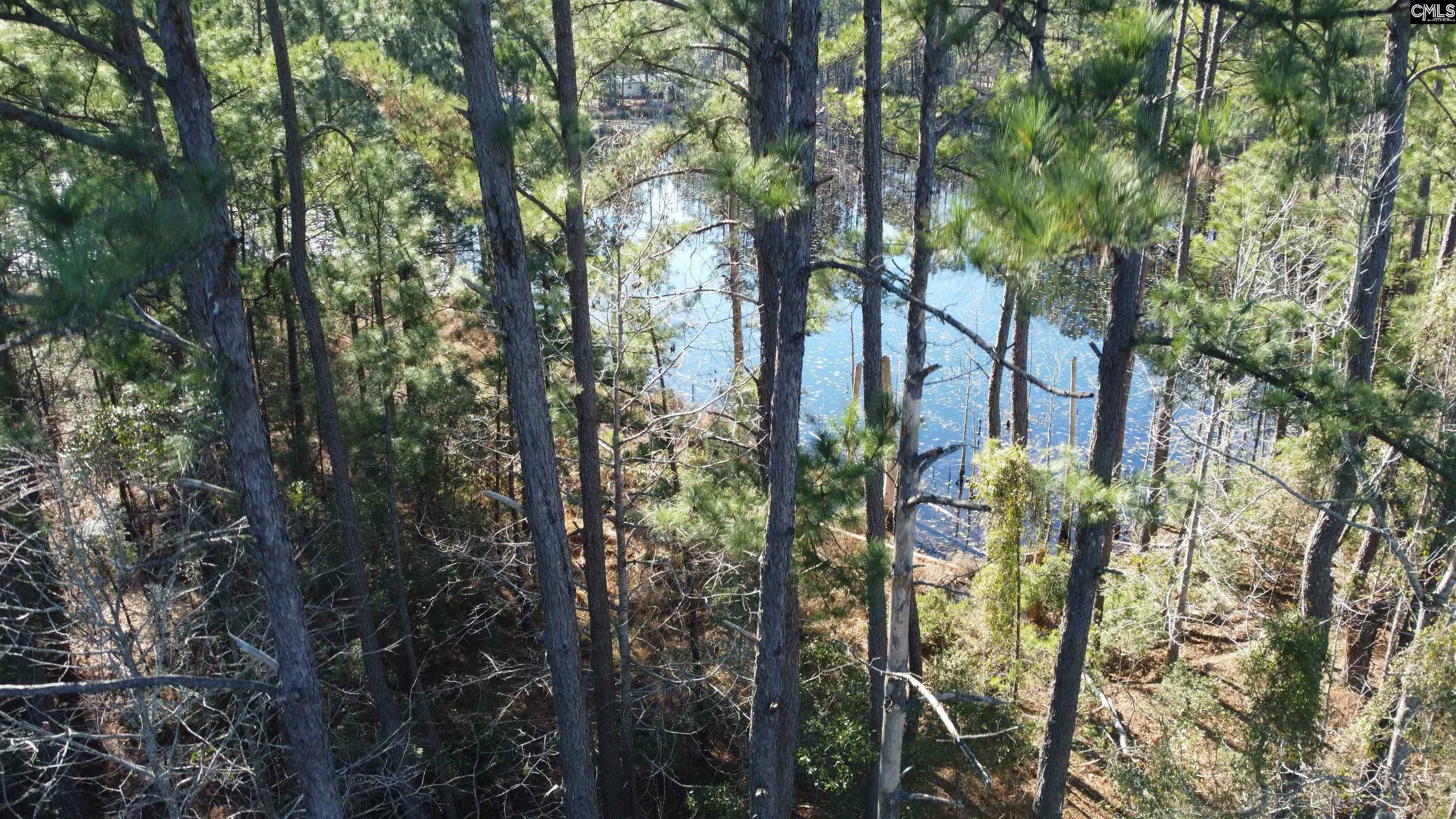 Property Photo:  Tbd Alligator Rd Near Boxcar Ln  SC 29434 