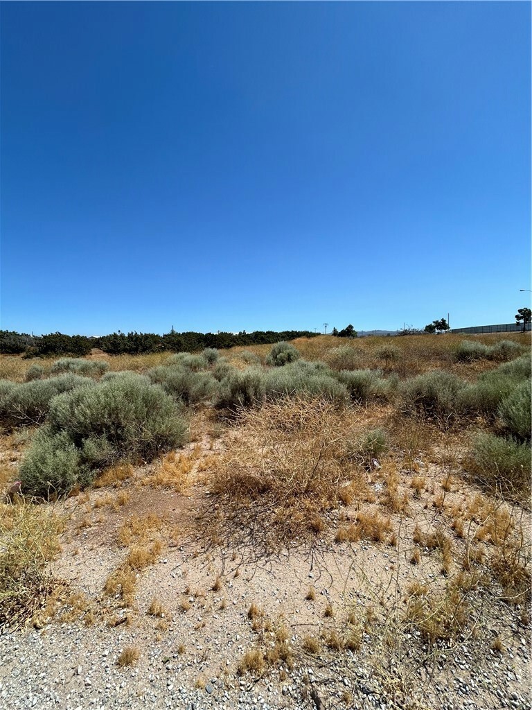 Property Photo:  0 Coyote Trail  CA 92344 