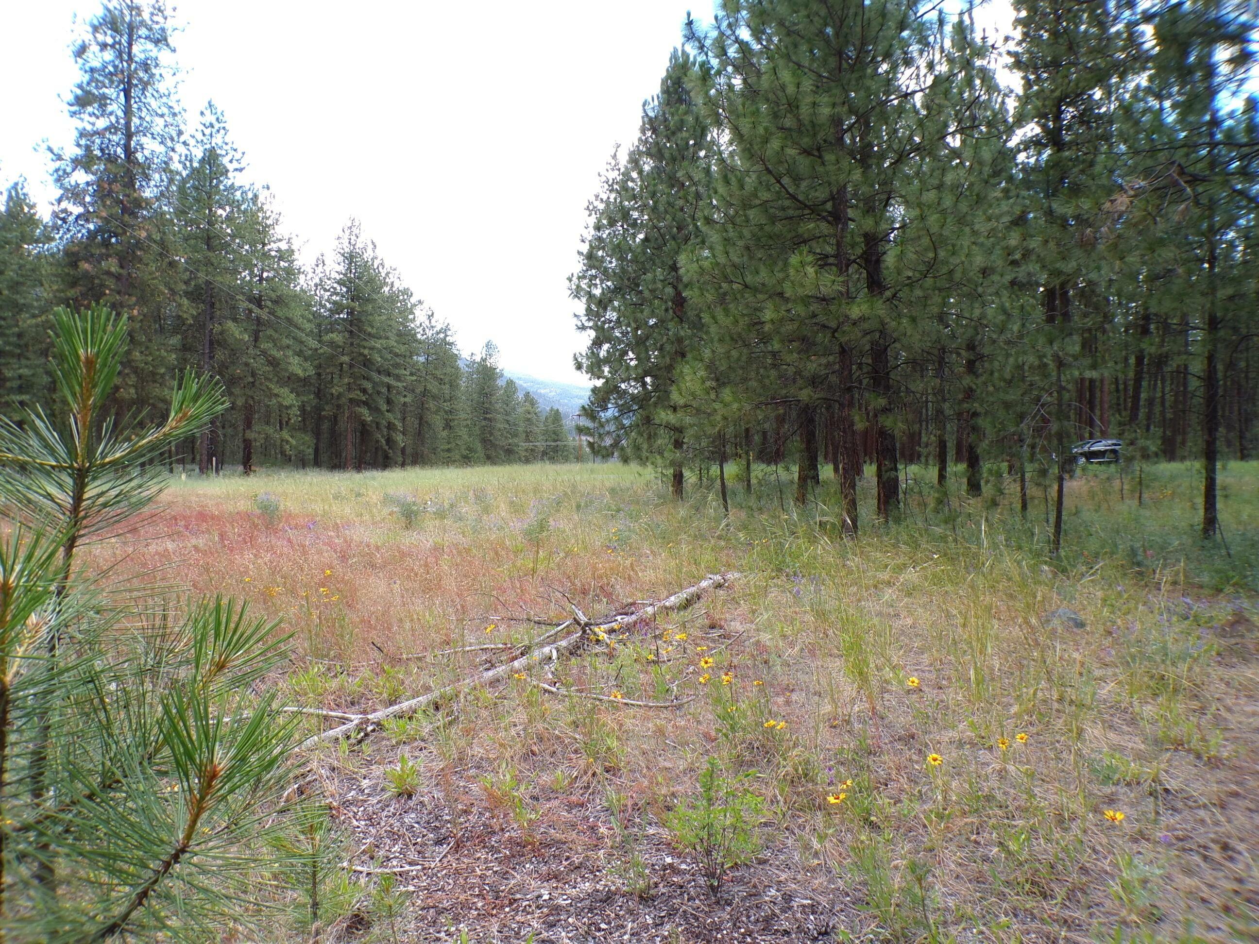 Property Photo: 1213 Fumi Cir WA 99141