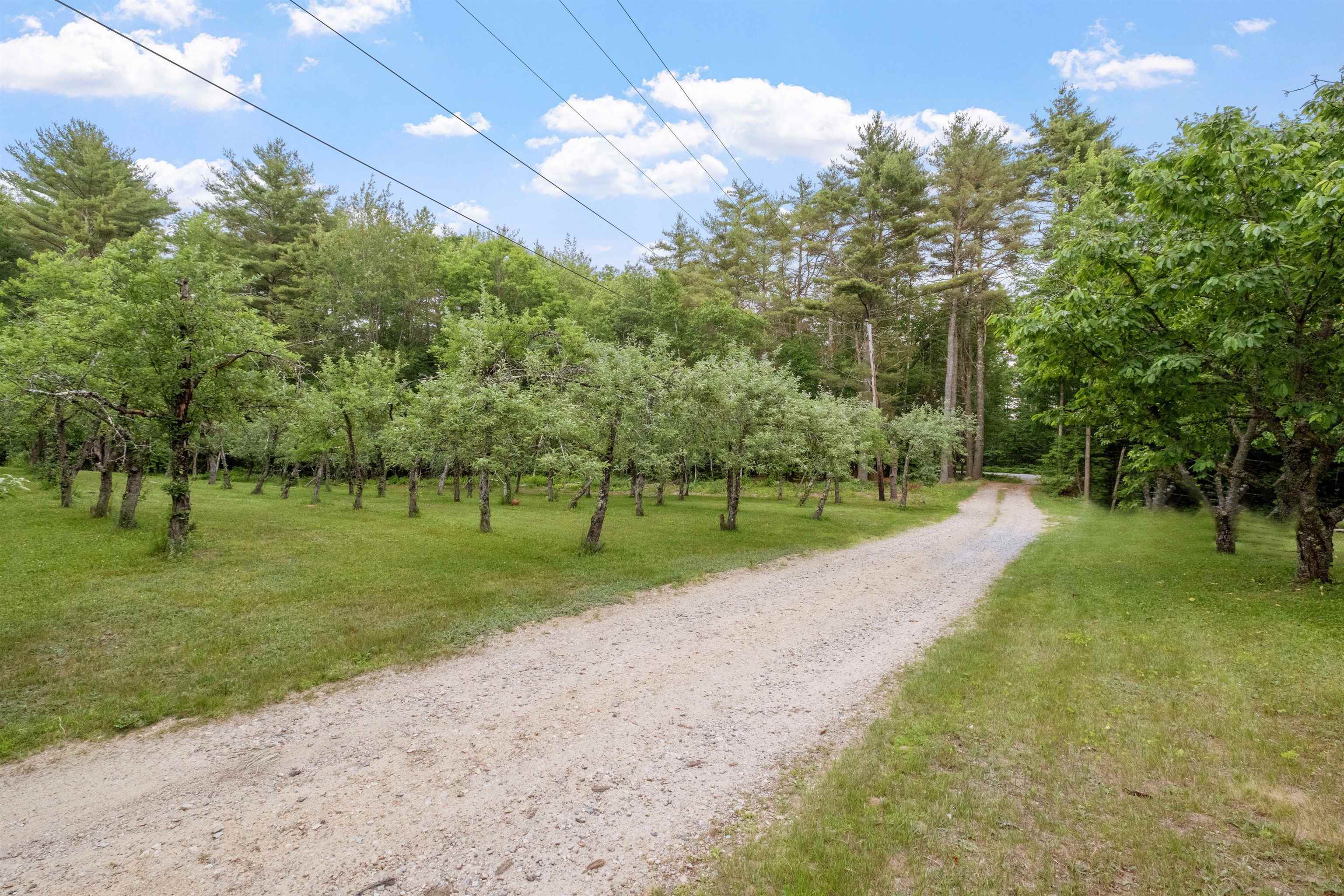 Property Photo: 166 Pitman Road NH 03225