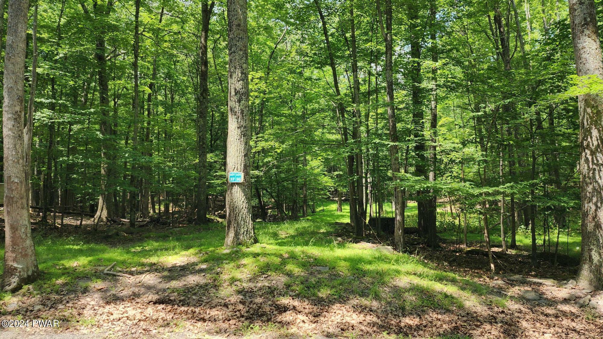 Property Photo:  Lot 36-37 E Shore Drive  PA 18428 