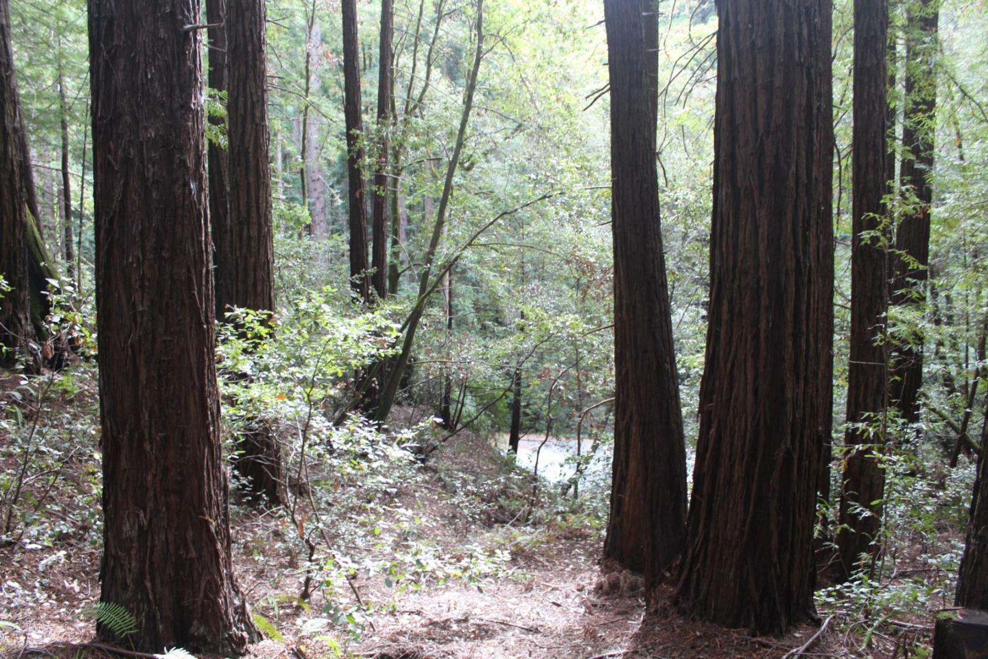 Property Photo:  000 Tunitas Creek Road  CA 94019 