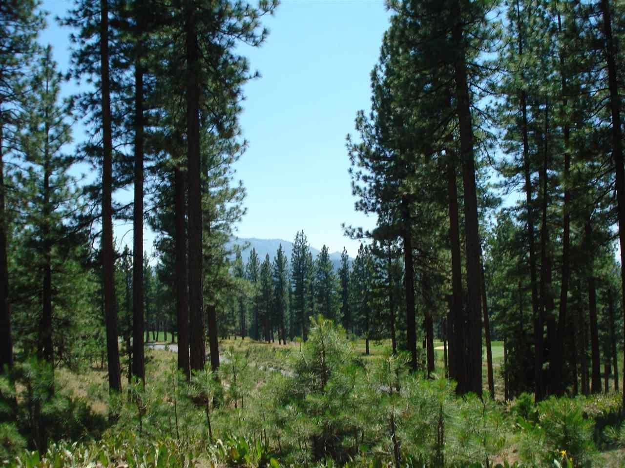 Property Photo:  69 Blacktail Ridge  CA 96122 