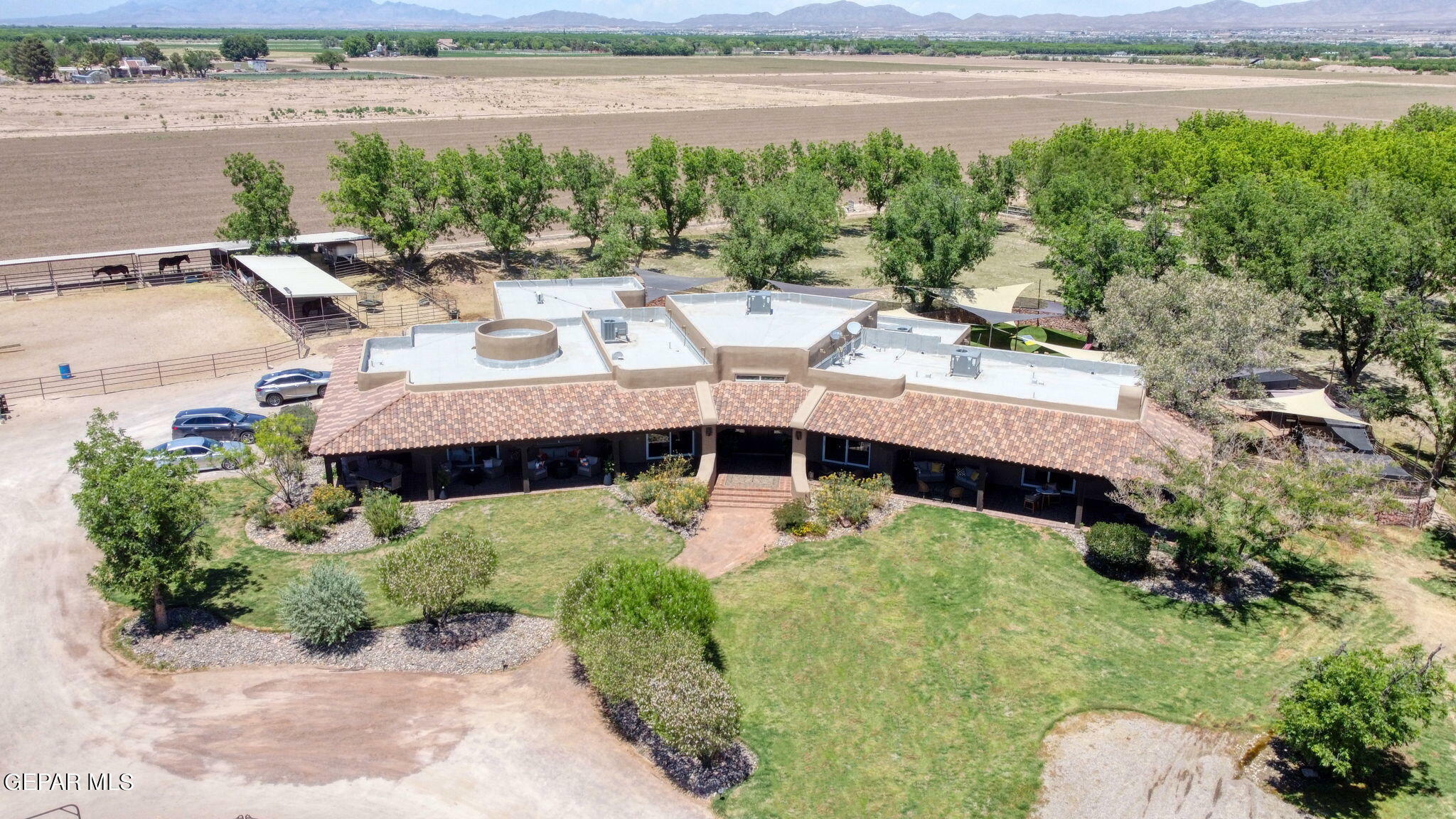 Property Photo:  7003 McNutt Road  NM 88021 