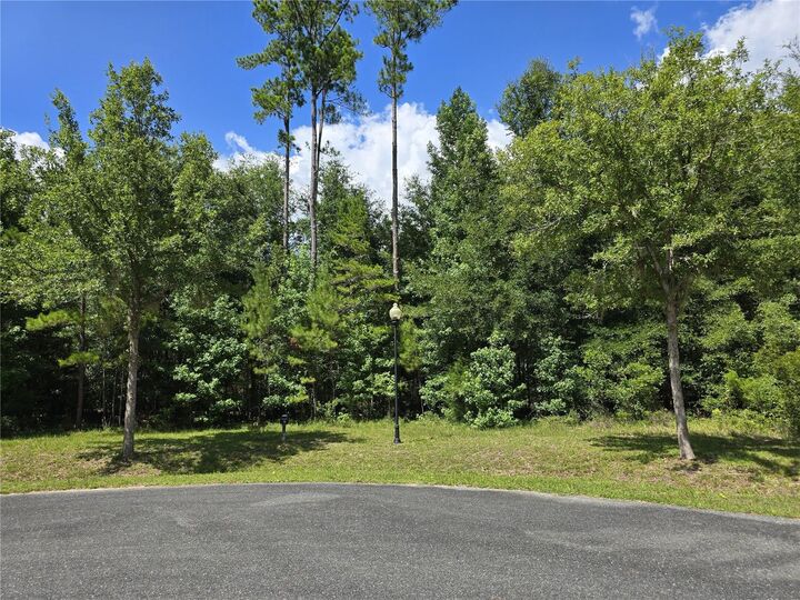 5990 NW 88th Way  Gainesville FL 32653 photo