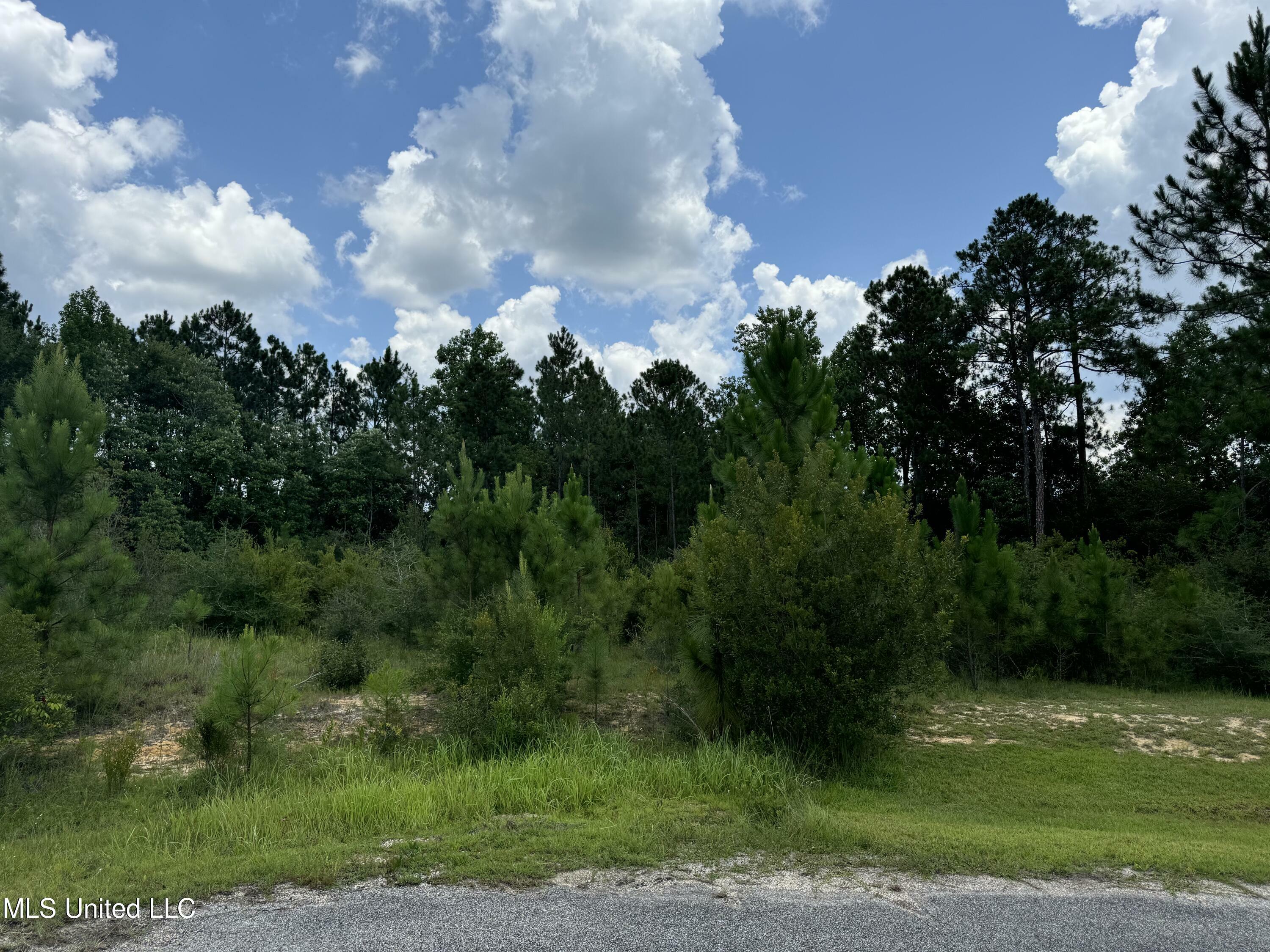 Property Photo:  Longwood Lane  MS 39503 