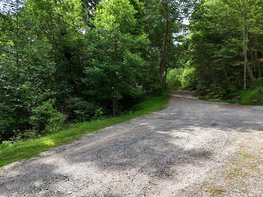 Property Photo:  Lot 25 Toccoa Preserve Court  GA 30513 