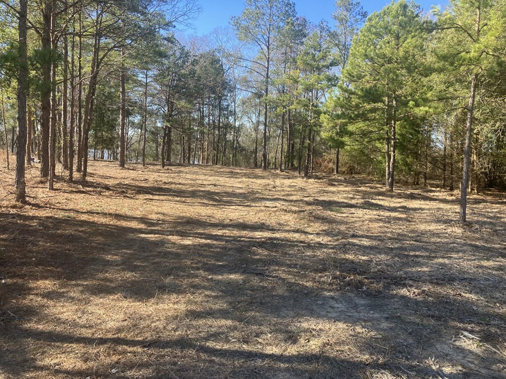 Property Photo:  Lot 23 Arrowhead Ln  GA 39851 