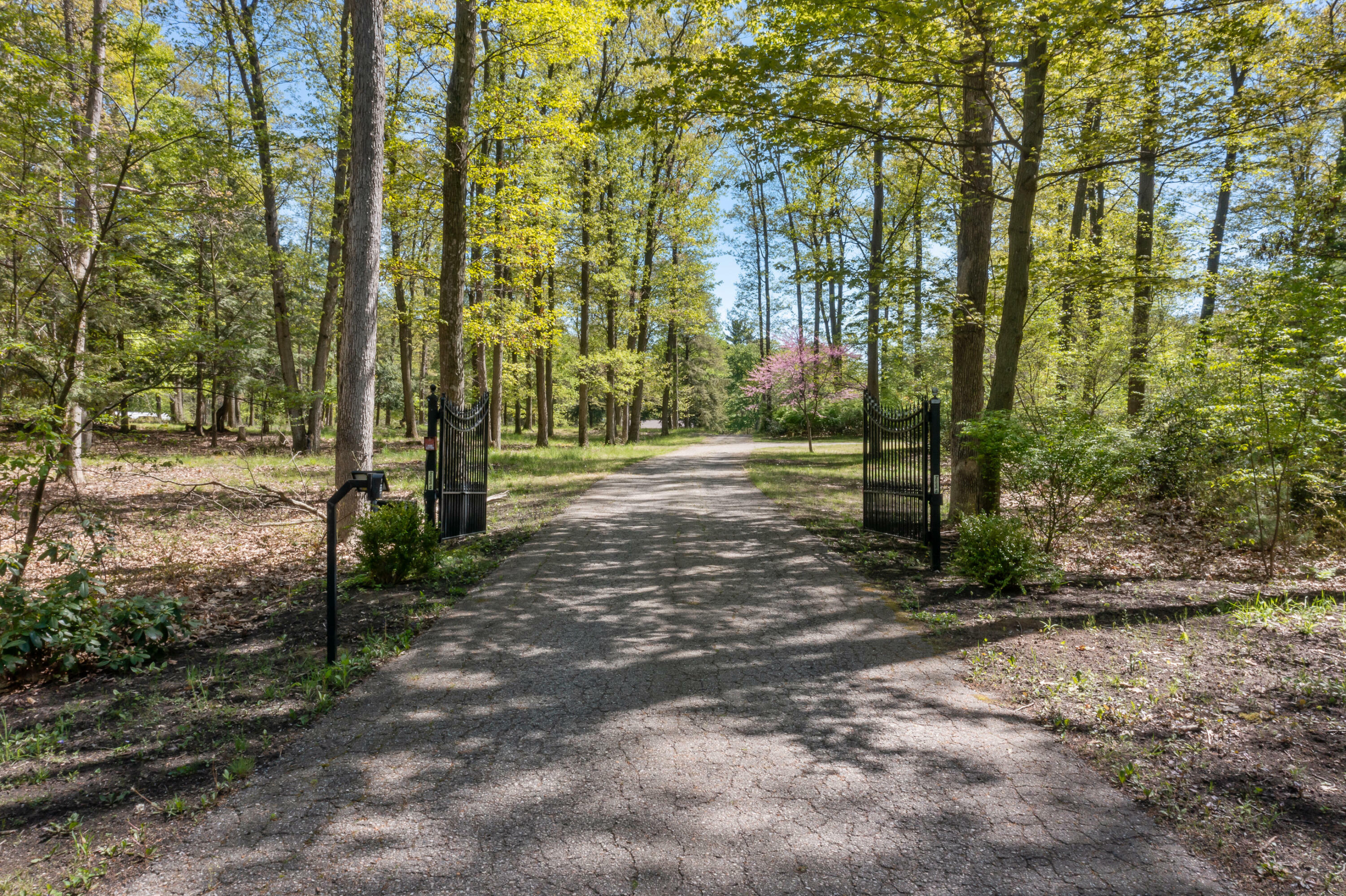 Property Photo:  14170 Lake Michigan Drive  MI 49460 