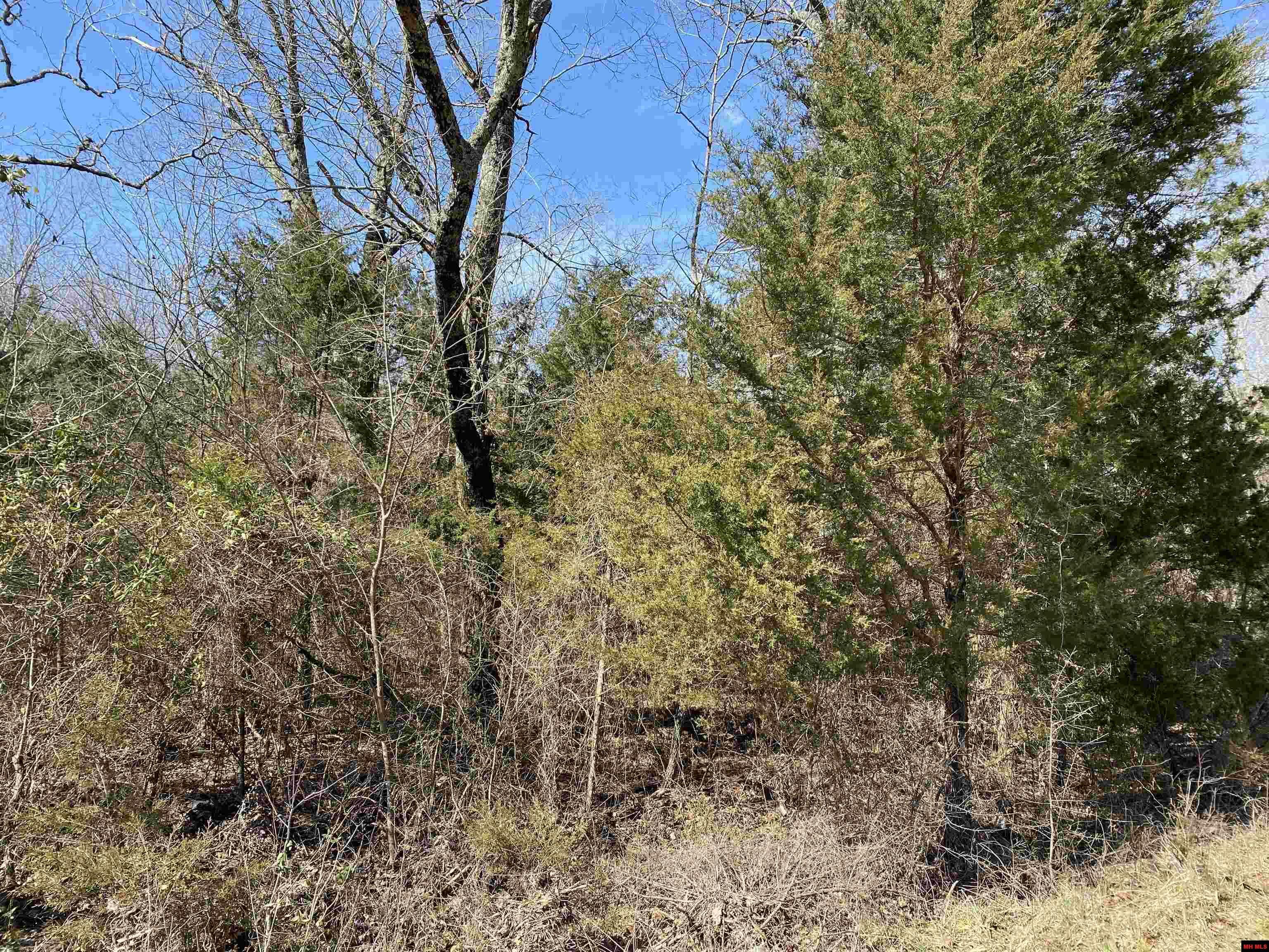 Property Photo:  0001 Wirth Road  AR 72459 