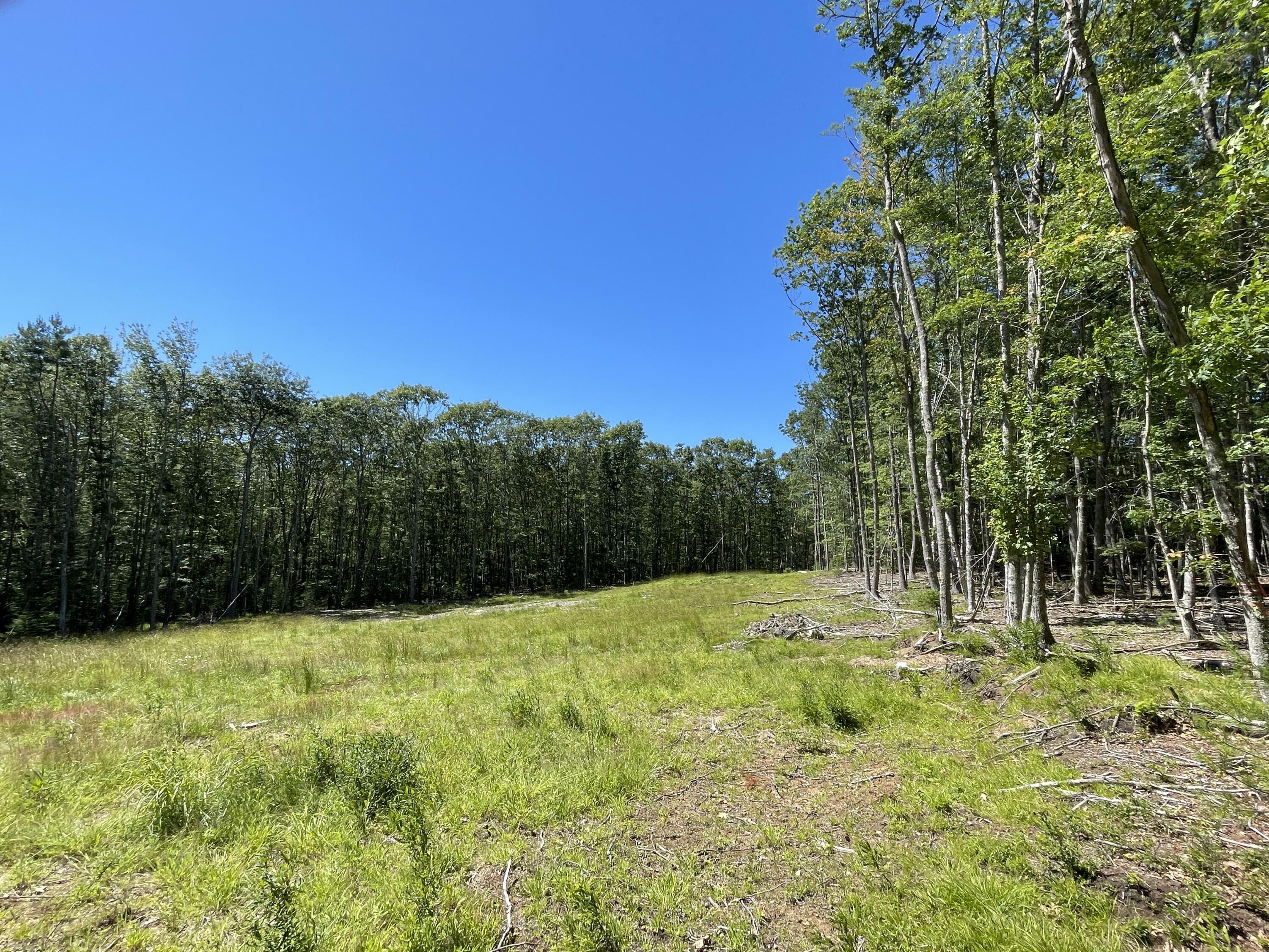 Property Photo:  Lot 64 Moose Walk  ME 04578 