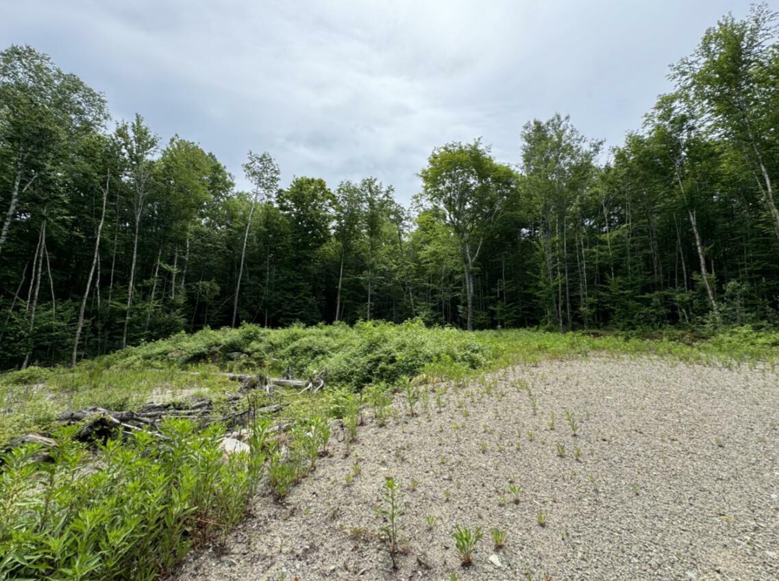 Property Photo:  Lot Wa-9 Smith Cove Road  ME 04628 