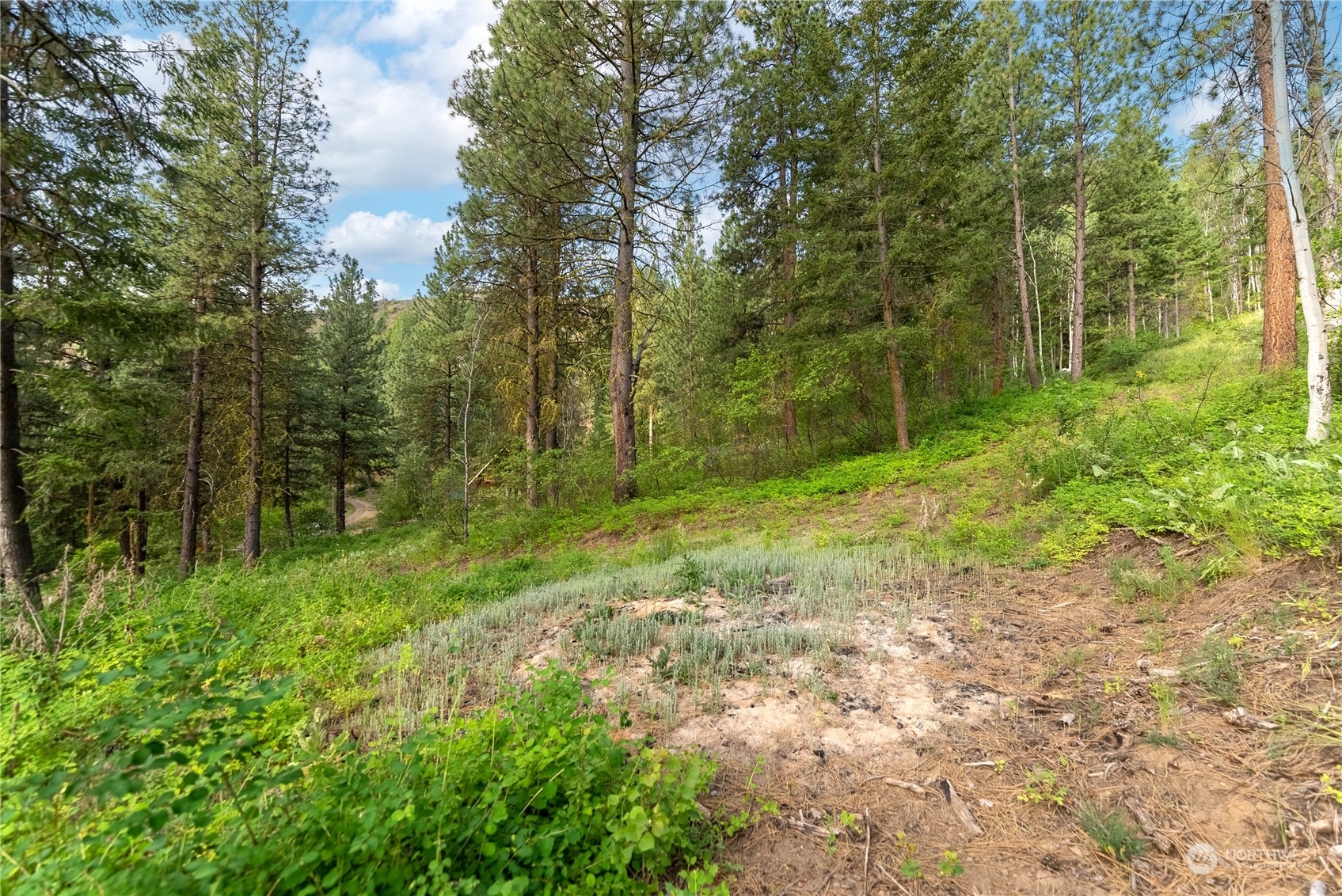 Property Photo:  57 Sugar Pine Road  WA 98862 