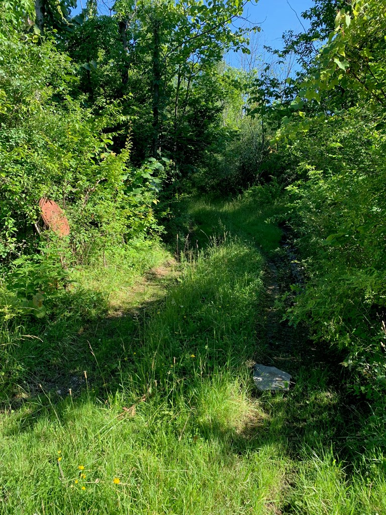 Property Photo:  0 Townsend Rd  NY 14891 