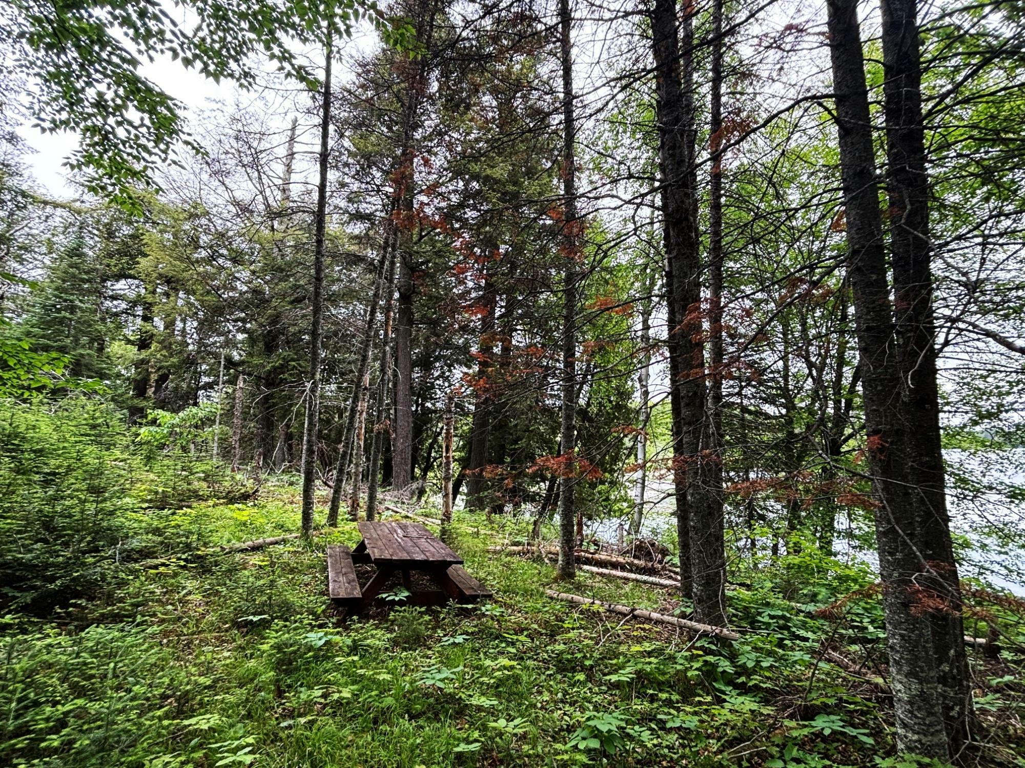 Property Photo:  On Pardee Lake Rd  WI 54534 