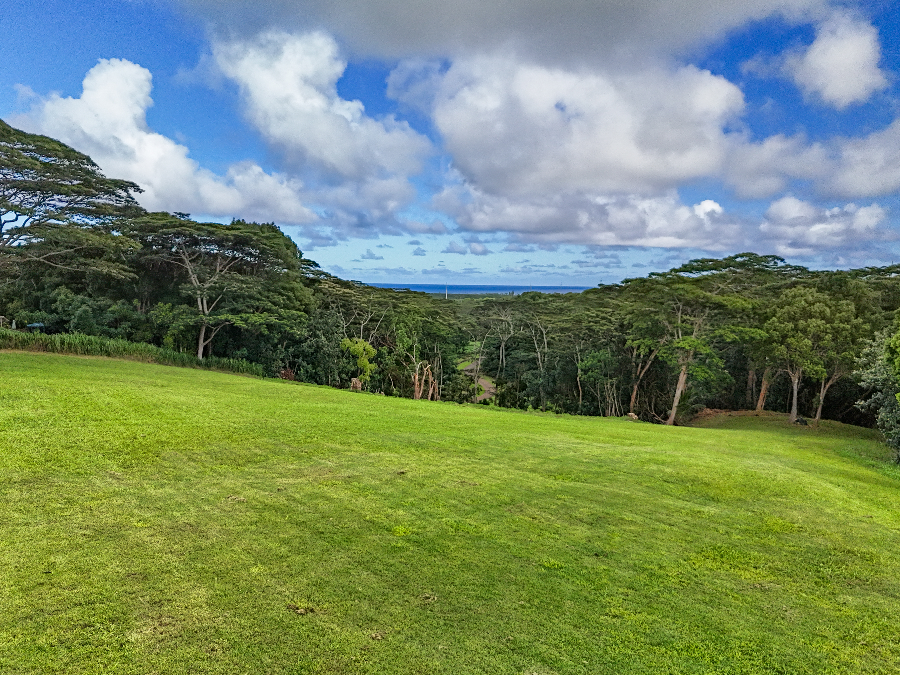 Property Photo:  Kulana #13C  HI 96746 