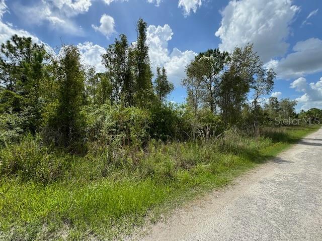 Property Photo: 29460 Clara Drive FL 33982