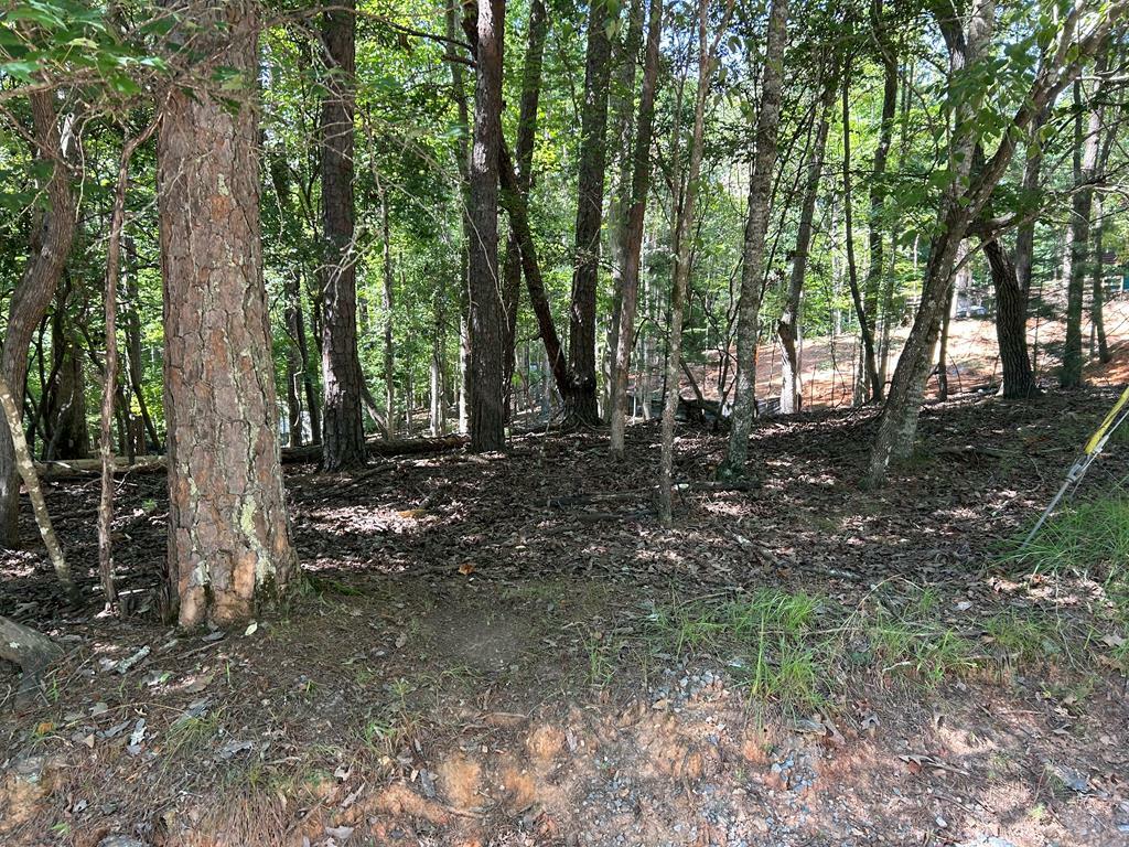 Property Photo:  Lt 640 Cypress Circle  GA 30540 