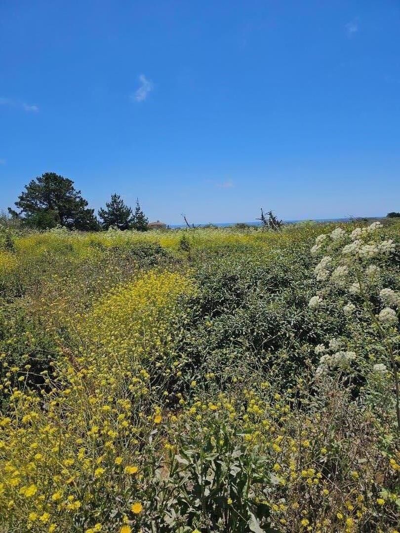 Property Photo:  00 Vienna  CA 94019